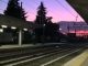 Gallarate stazione guardie giurate