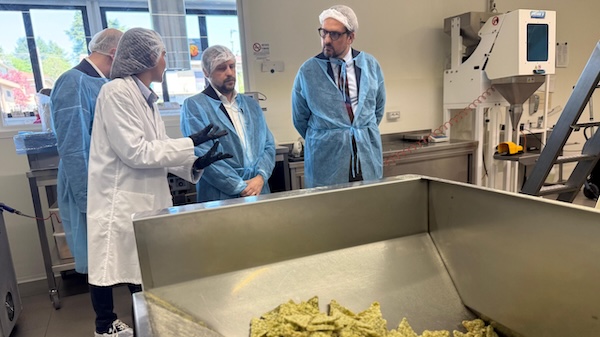 Guidesi legu farmacia giardini