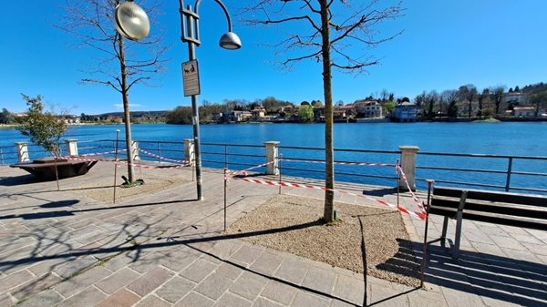 sesto lungofiume alberi fdi