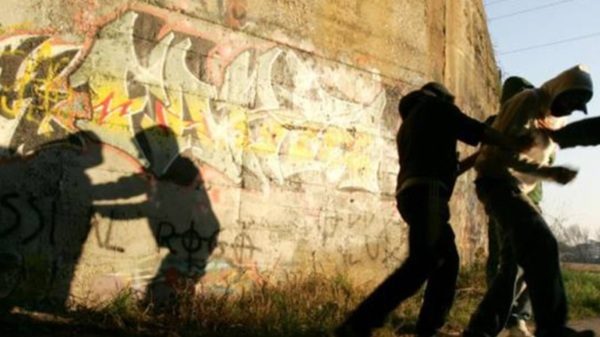 oggiona baby branco bulli