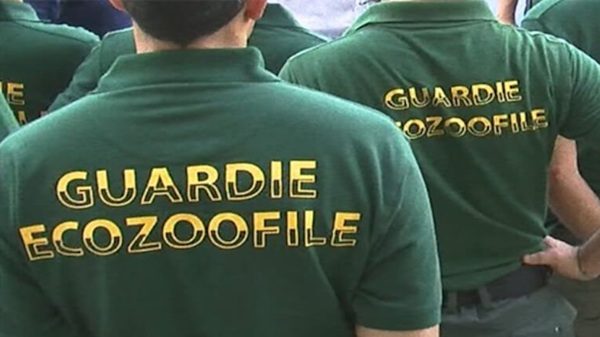 cairate accordo guardie ecozoofile
