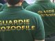 cairate accordo guardie ecozoofile