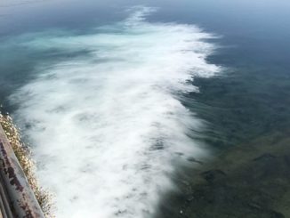 sesto sversamenti fiume ticino
