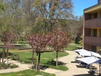 Ispra rsa Villa Fiammetta