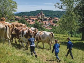 Boca cammini Fenera convegno