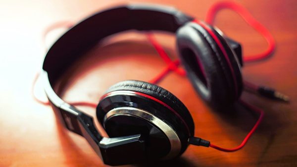 busto musica festival suono 02