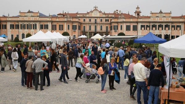 campagna in citta agrivarese