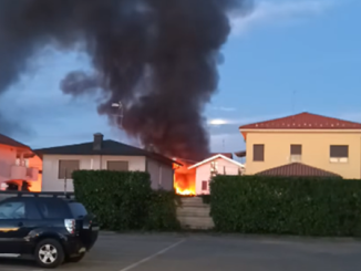 canegrate incendio