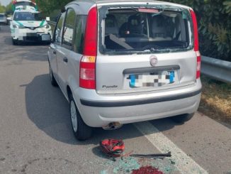 cardano ciclista tampona auto