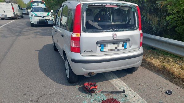 cardano ciclista tampona auto