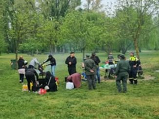 parco ticino controlli gev
