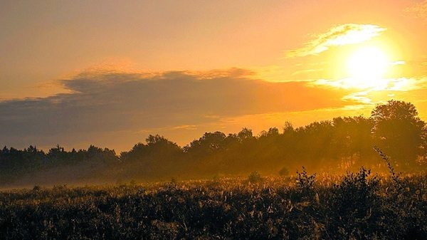 coperto primo maggio sole