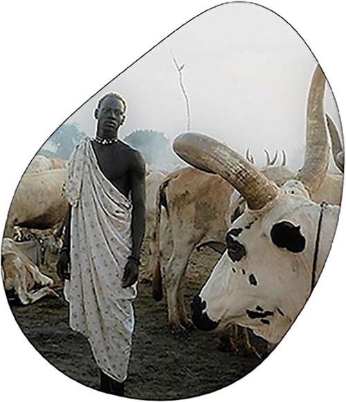 golasecca sud sudan libro 05