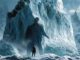 inarzo seby leonardi iceberg