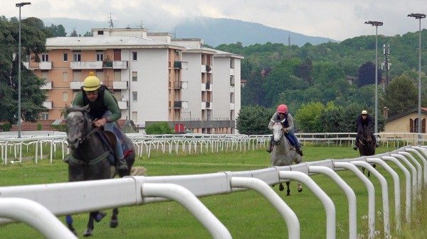 ippodromo varese tribuna rinnovata