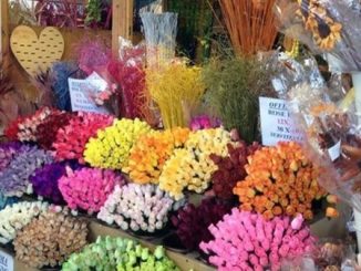 milano fine settimana