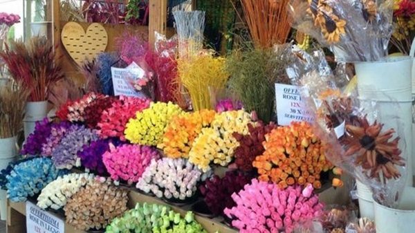 milano fine settimana