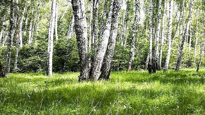 miglioramento sole nuvola gradi