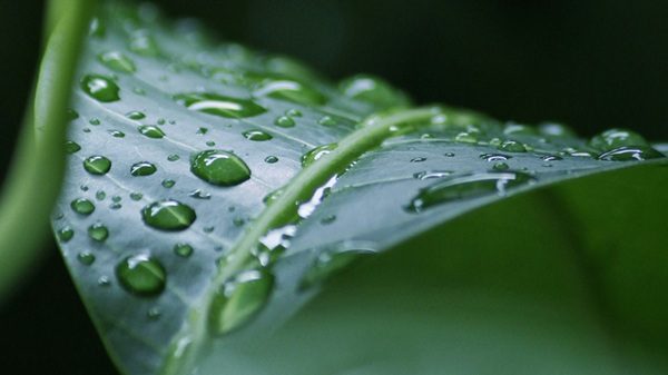 nubi alpi pioggia temperatura