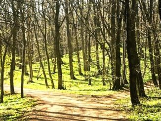 pasqua primavera tempo gradi