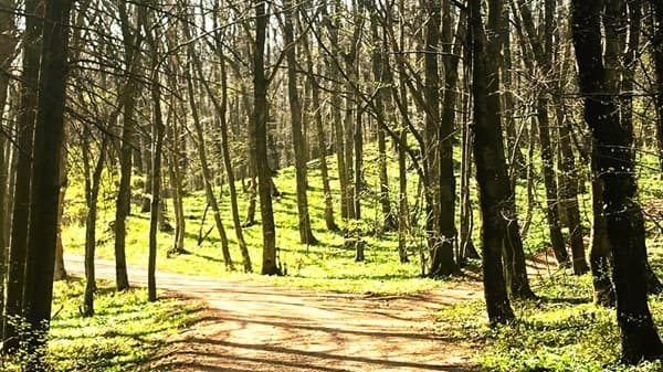 pasqua primavera tempo gradi