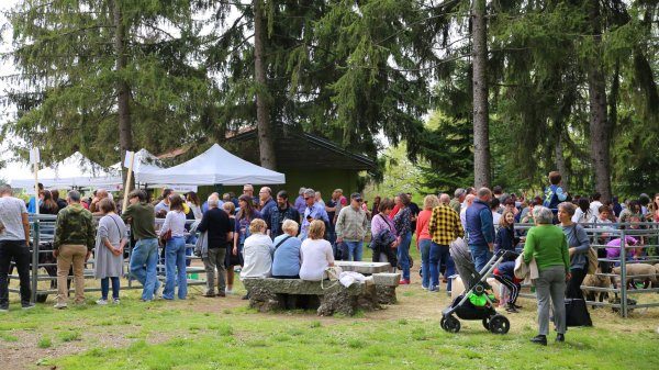 settore primario agrivarese