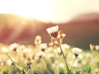 sole temperatura rialzo pressione