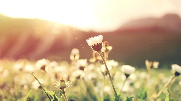 sole temperatura rialzo pressione