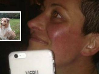 Gargallo morta cane veglia
