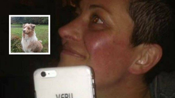 Gargallo morta cane veglia
