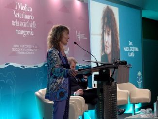 varese cantu one health
