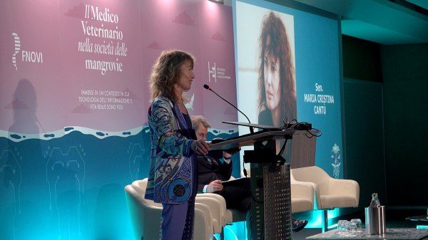 varese cantu one health