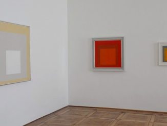 villa panza mostra albers