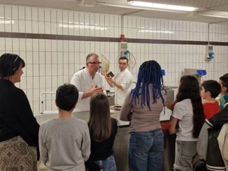cerromaggiore scuole imprese famigliacerrese
