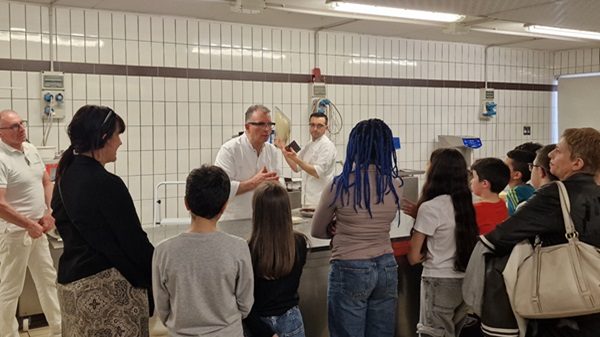 cerromaggiore scuole imprese famigliacerrese
