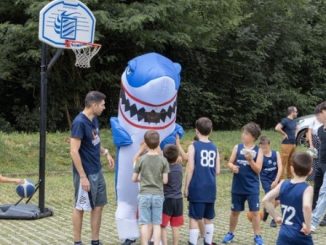 Albizzate Sharkfest basket beneficenza