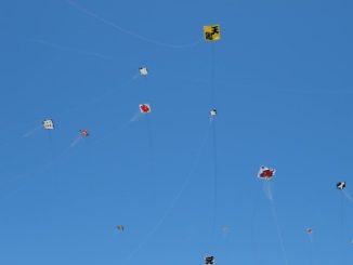 Cardano autismo bambini aquiloni