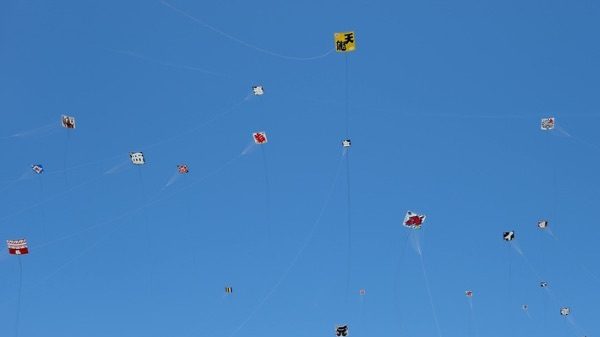 Cardano autismo bambini aquiloni