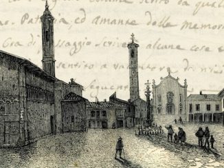 Conosciamo gallarate massimo palazzi