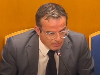 Federico Amadei