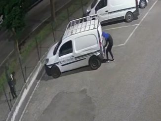 sesto targhe camion compro oro
