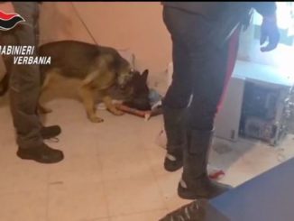 Verbania blitz traffico droga arresti