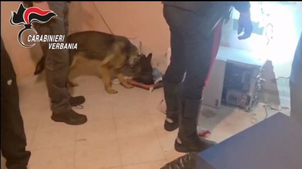 Verbania blitz traffico droga arresti