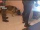 Verbania blitz traffico droga arresti