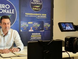 Novara Vannacci politica elezioni