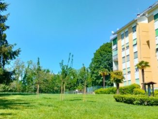 alloggi pubblici varese bando