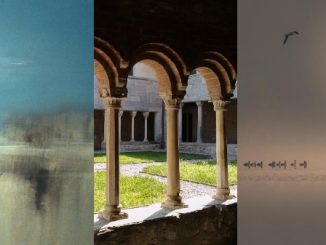 lago varese mostra voltorre