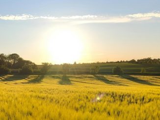 lombardia sereno termometro salita