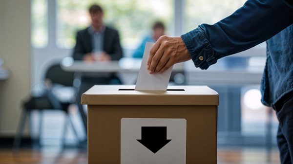 urna voto elezioni