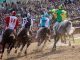 palio legnano
